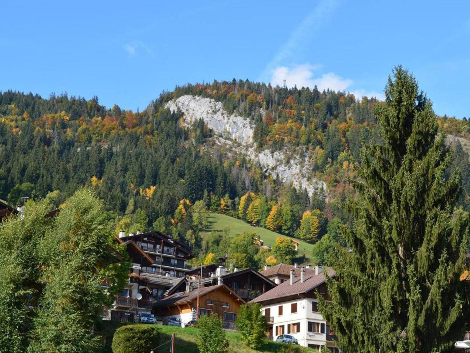 Studio Cosy 4 Pers, Centre Village, Parking, Ascenseur, Balcon - Le Grand-Bornand - Fr-1-241-185 Exteriér fotografie